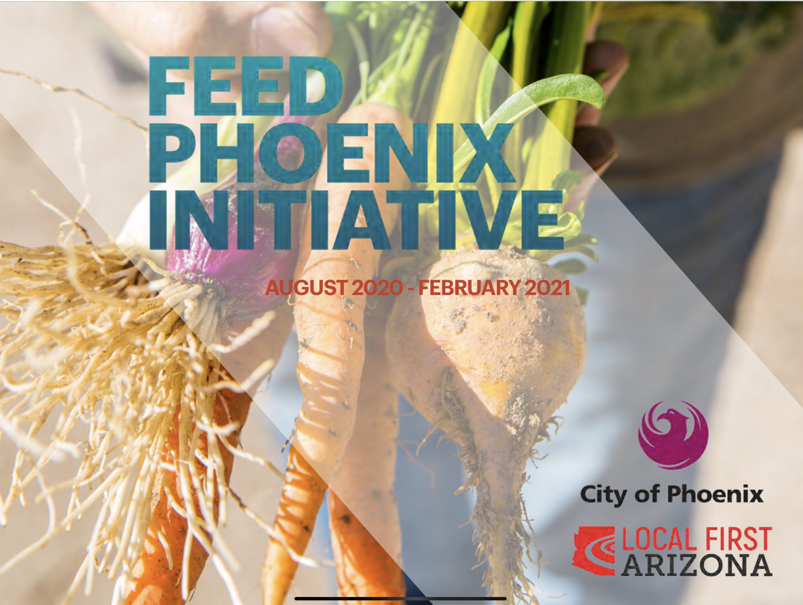 Feed Phoenix Initiative